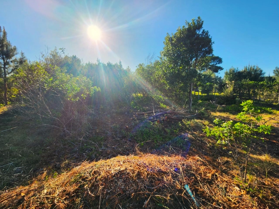 Commercial Property for Sale in Langvlei Dunes Western Cape